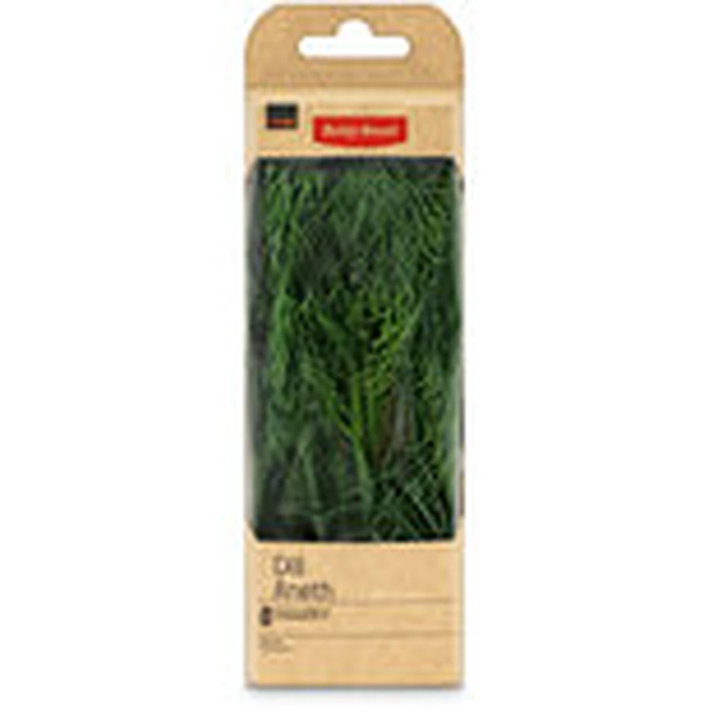Betty Bossi dill, 1 bunch