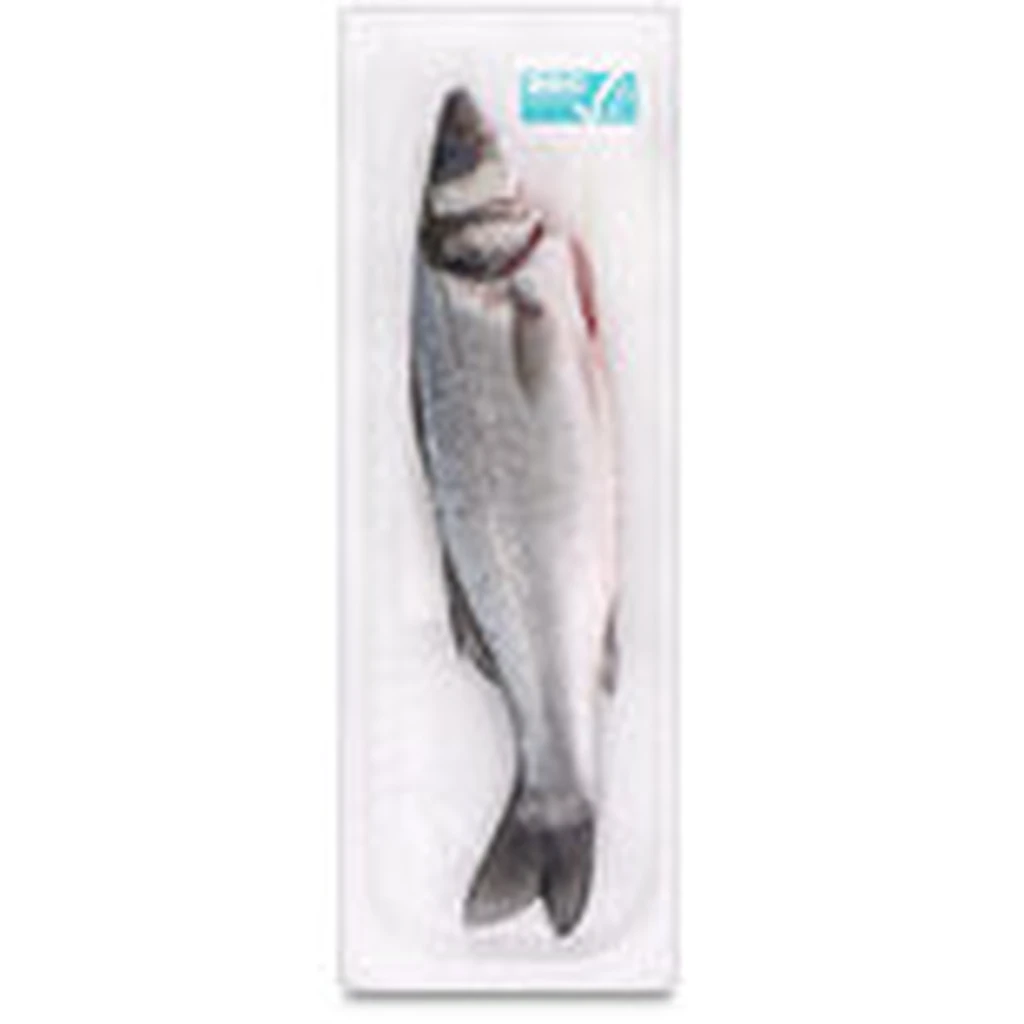 ASC sea bass, gutted