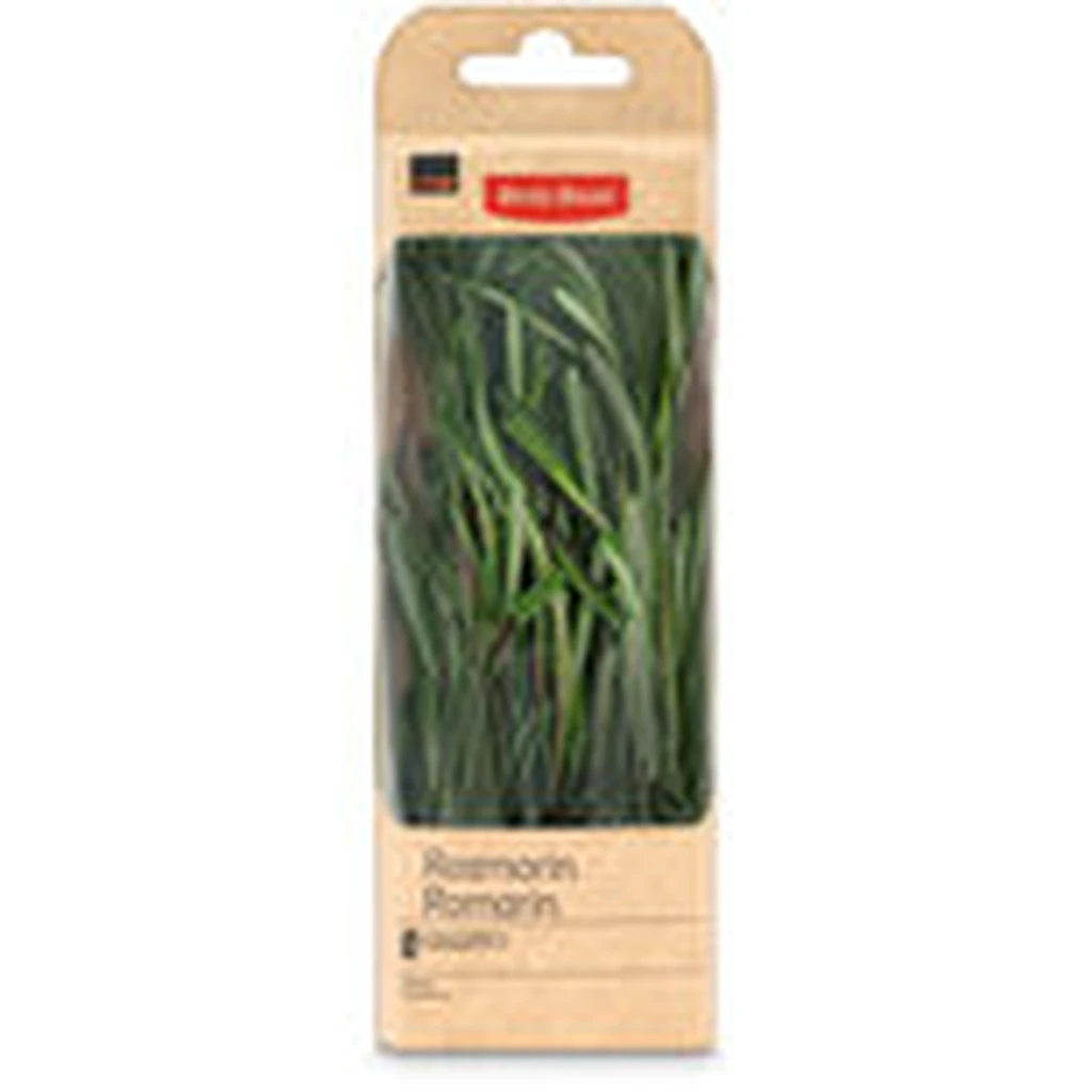 Betty Bossi rosemary 1 bunch